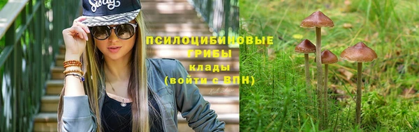 соль курить ск Коряжма