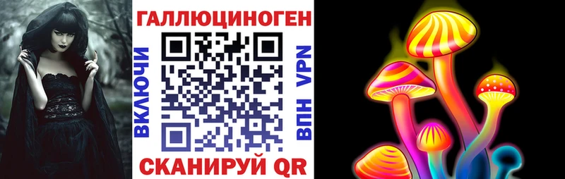 Псилоцибиновые грибы Psilocybe  Югорск 